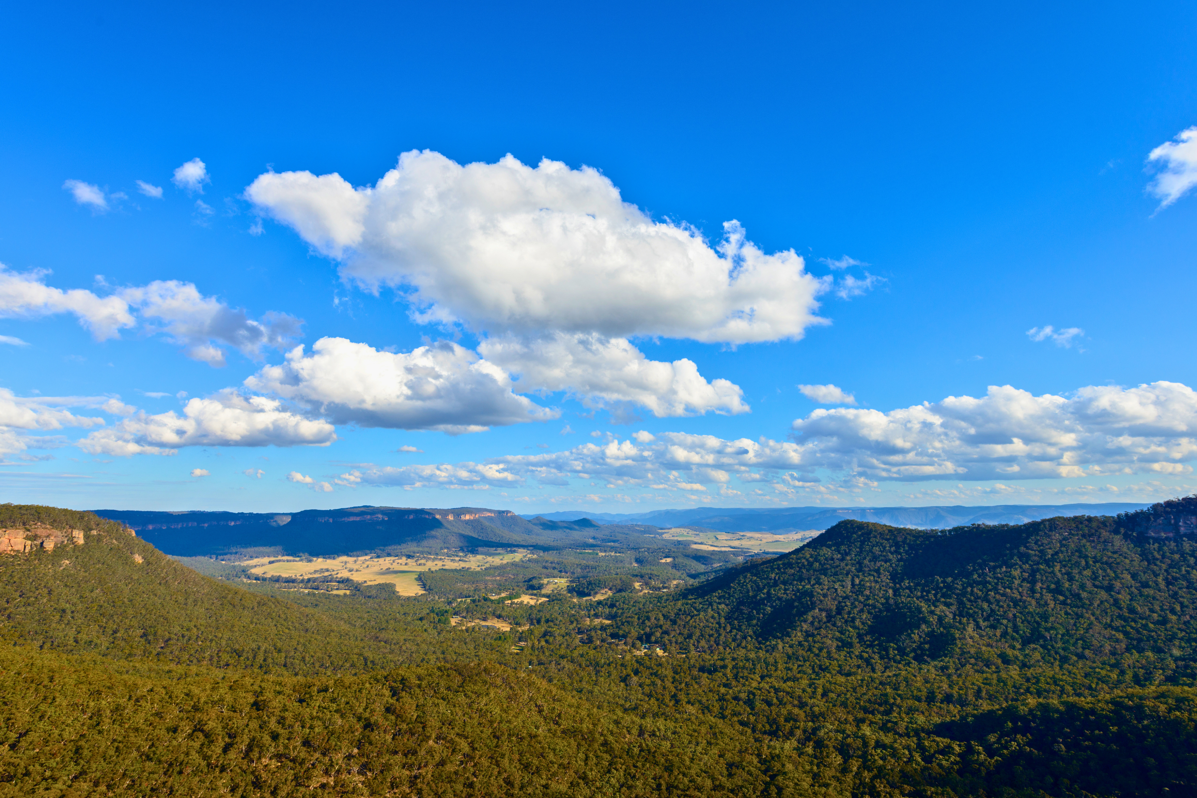 blue mountains national park.webp